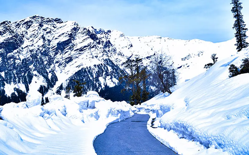 Delhi To Manali Taxi Services