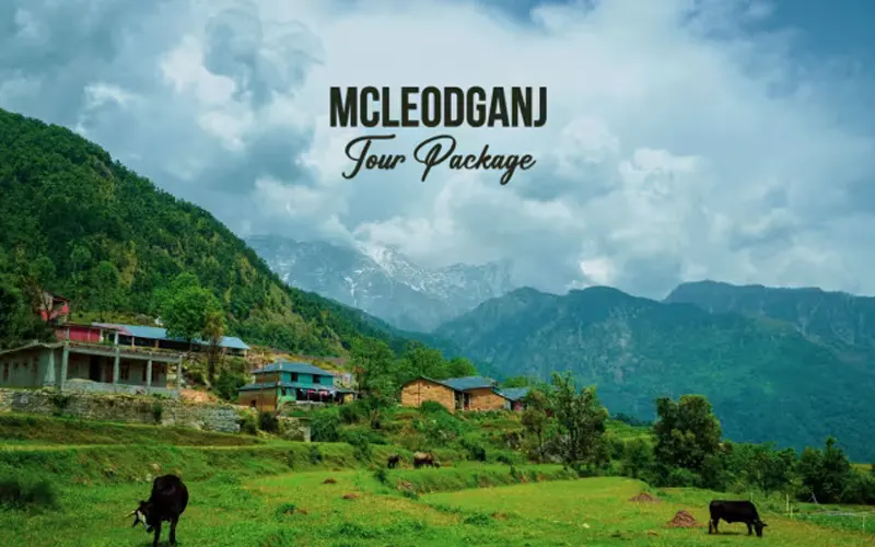 Delhi To McLeodganj Tempo Travellers